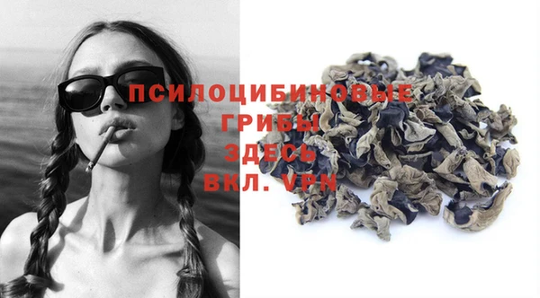 первитин Медвежьегорск